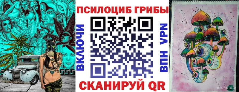 Псилоцибиновые грибы Cubensis  продажа наркотиков  hydra ТОР  Шлиссельбург 